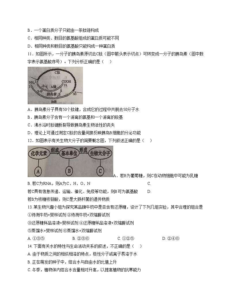 四川省南充市西充中学2025_2026学年高一上学期期中考试生物试题(文字版,含答案)第3页