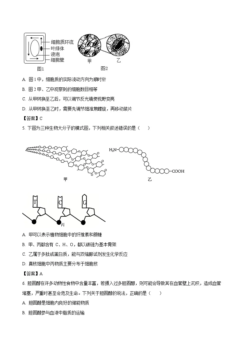 河北省邢台市卓越联盟2025-2026学年高一下学期开学测评生物试卷第2页