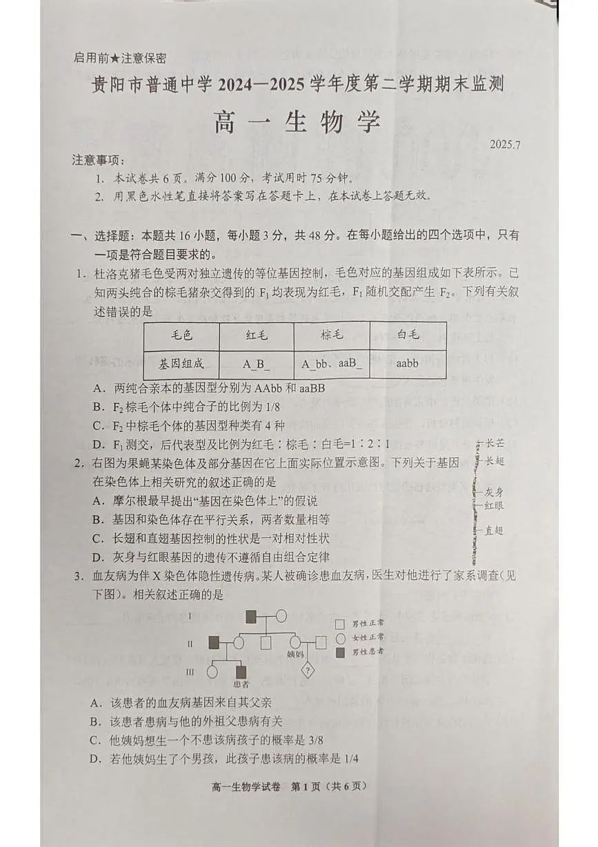 贵州省贵阳市普通高中2024-2025学年高一下学期期末监测生物试卷(有答案)第1页