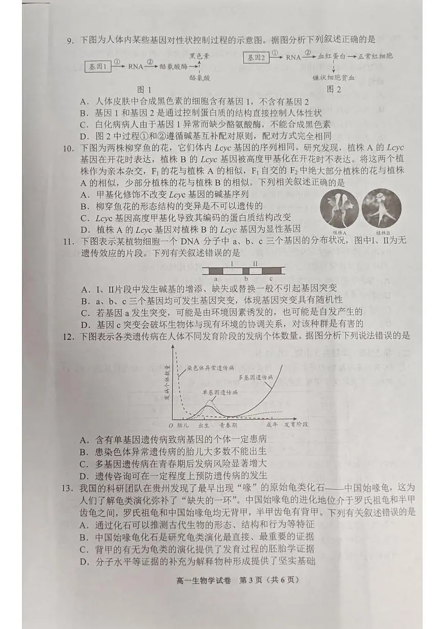 贵州省贵阳市普通高中2024-2025学年高一下学期期末监测生物试卷(有答案)第3页