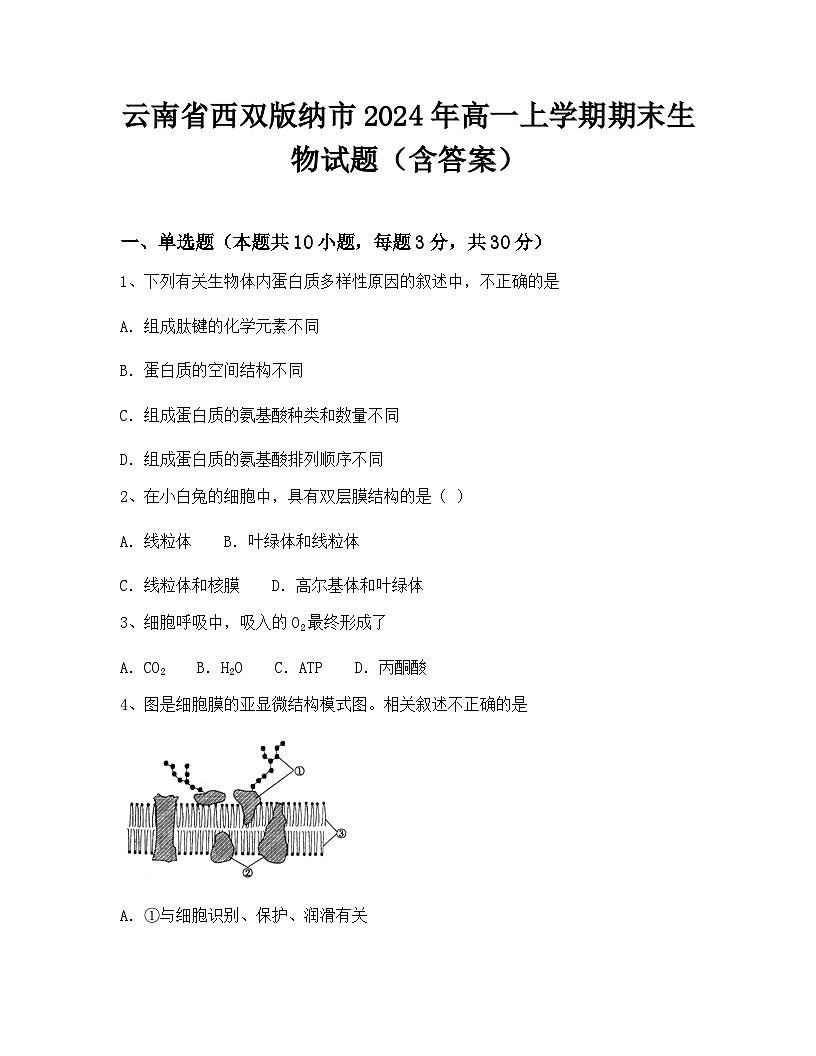云南省西双版纳市2024年高一上学期期末生物试题(含答案)第1页