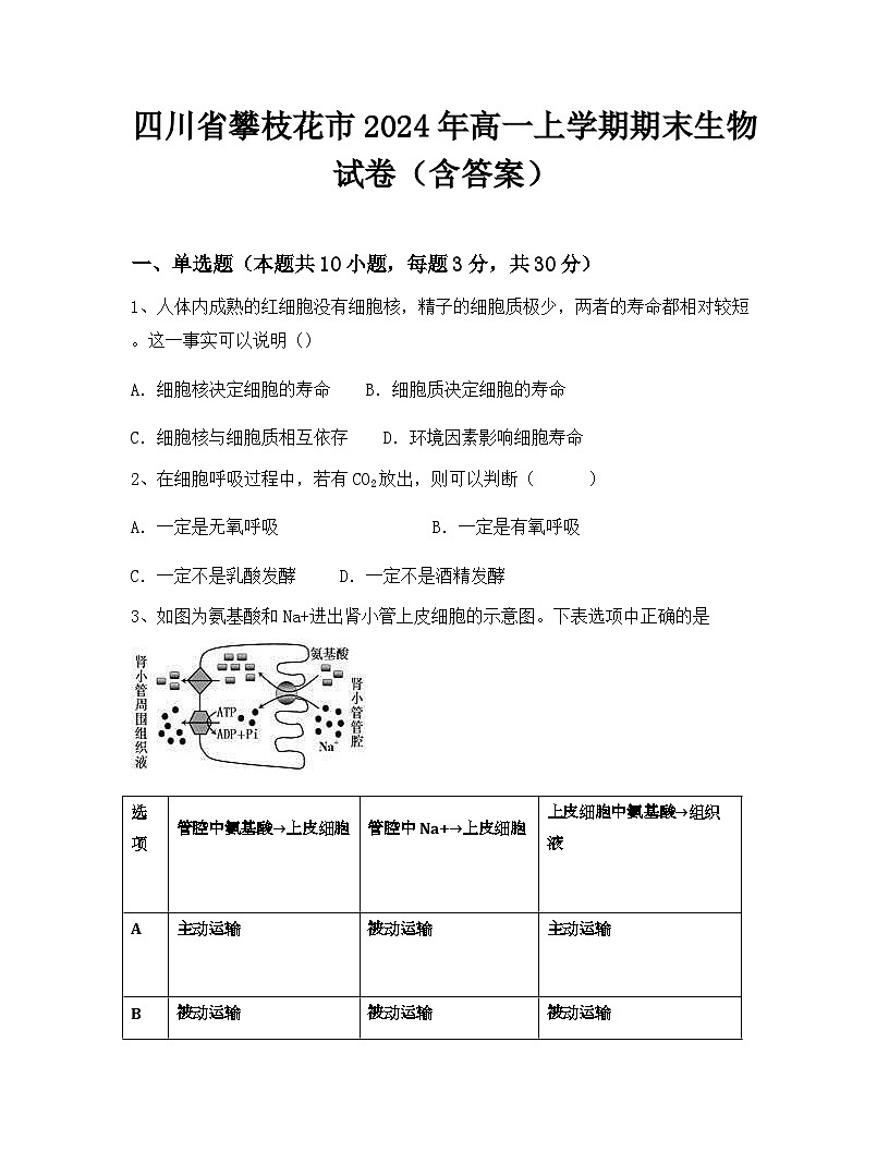 四川省攀枝花市2024年高一上学期期末生物试卷(含答案)第1页