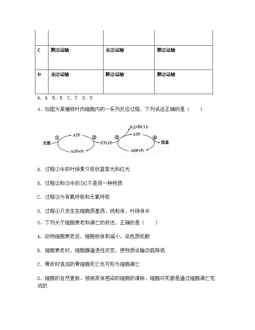 四川省攀枝花市2024年高一上学期期末生物试卷(含答案)第2页
