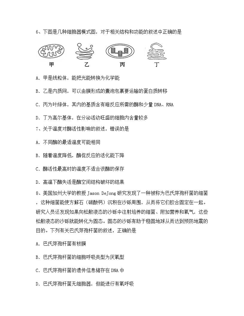 四川省攀枝花市2024年高一上学期期末生物试卷(含答案)第3页