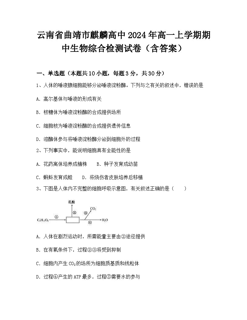 云南省曲靖市麒麟高中2024年高一上学期期中生物综合检测试卷(含答案)第1页