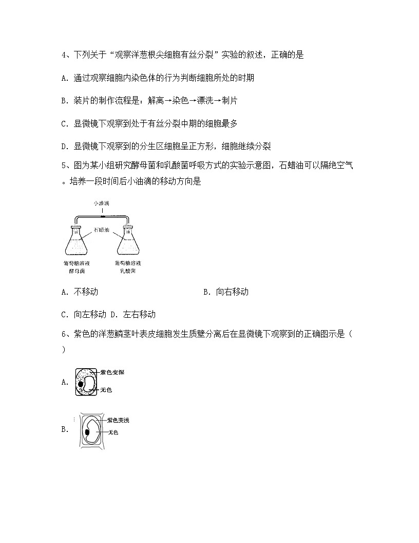 云南省曲靖市麒麟高中2024年高一上学期期中生物综合检测试卷(含答案)第2页