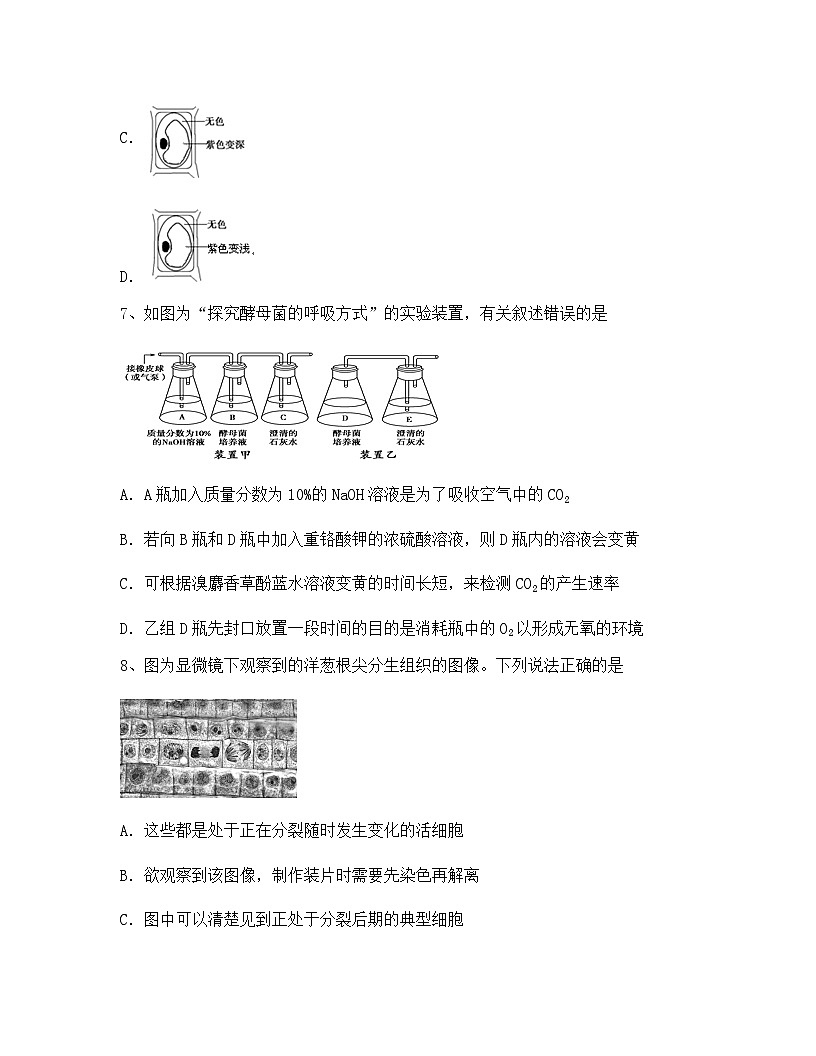 云南省曲靖市麒麟高中2024年高一上学期期中生物综合检测试卷(含答案)第3页