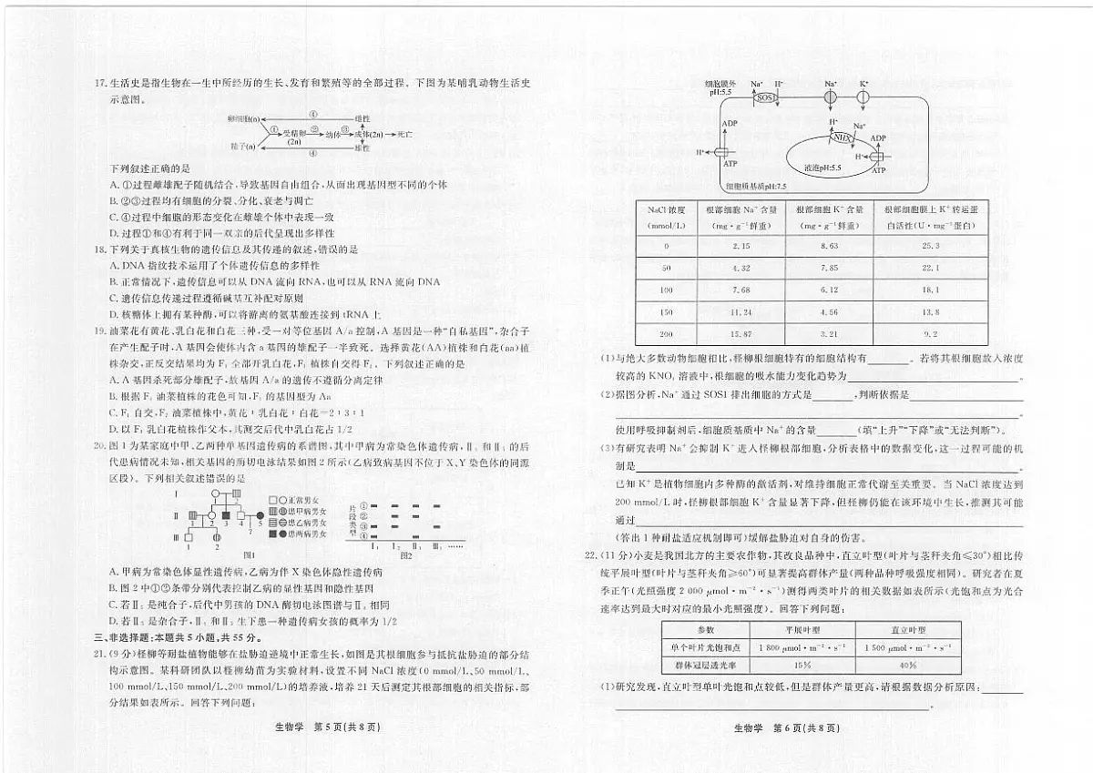 辽宁省名校联盟2025年高三10月份联合考试 生物试卷(含答案)第3页