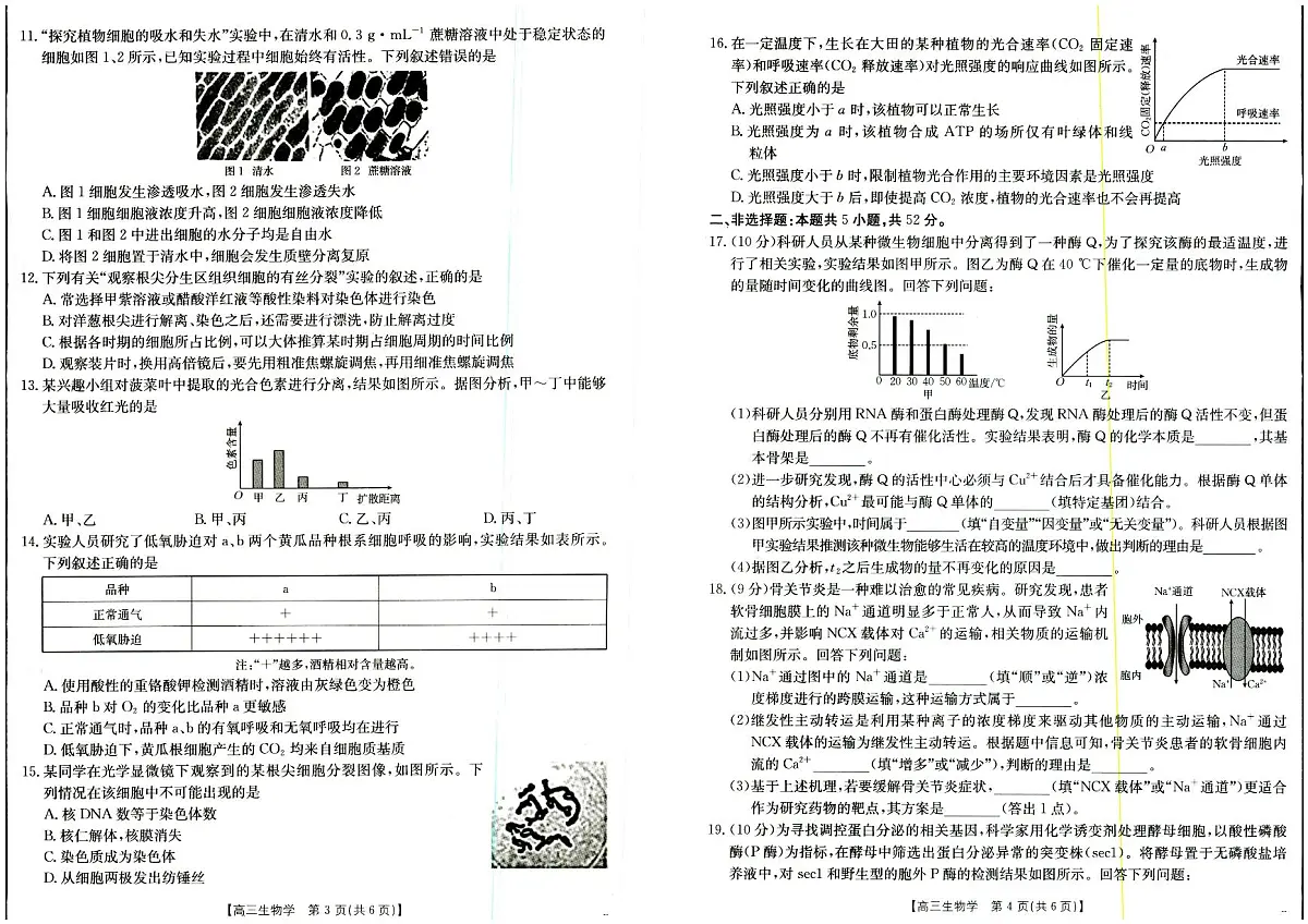 山西陕西金太阳2025年9月高三联考二 生物试卷(含答案)第2页