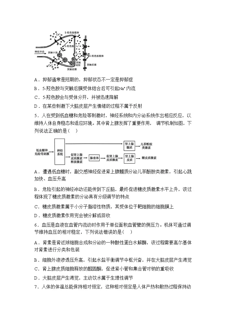 湖北襄阳市楚云协作体2025-2026学年高二下学期阶段检测生物试卷含答案第2页