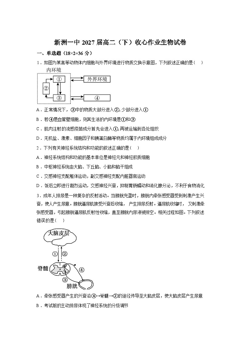 湖北武汉市新洲一中2025-2026学年高二下学期收心作业生物试卷含答案第1页