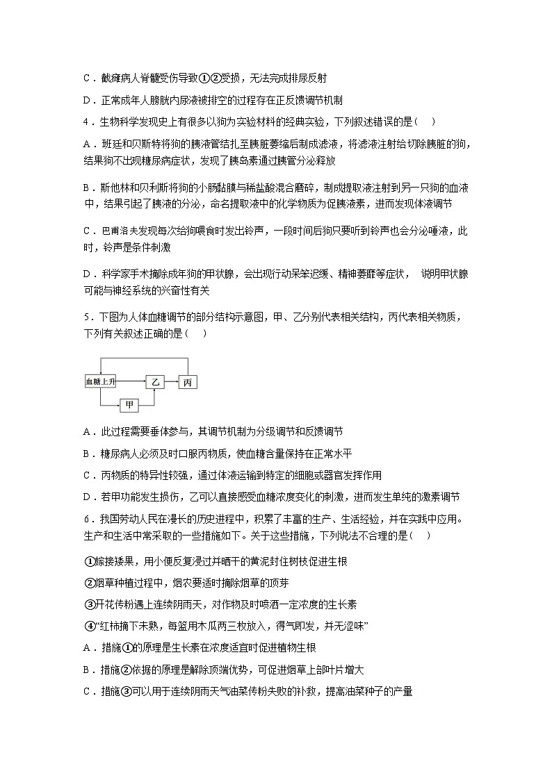 湖北武汉市新洲一中2025-2026学年高二下学期收心作业生物试卷含答案第2页