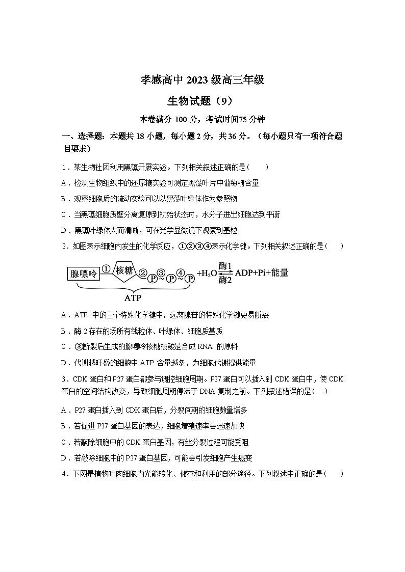 湖北孝感高级中学2025-2026学年高三下学期2月测试生物学试题含答案第1页