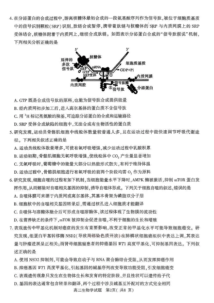2026年河南五市高三下学期3月生物试题及答案第2页