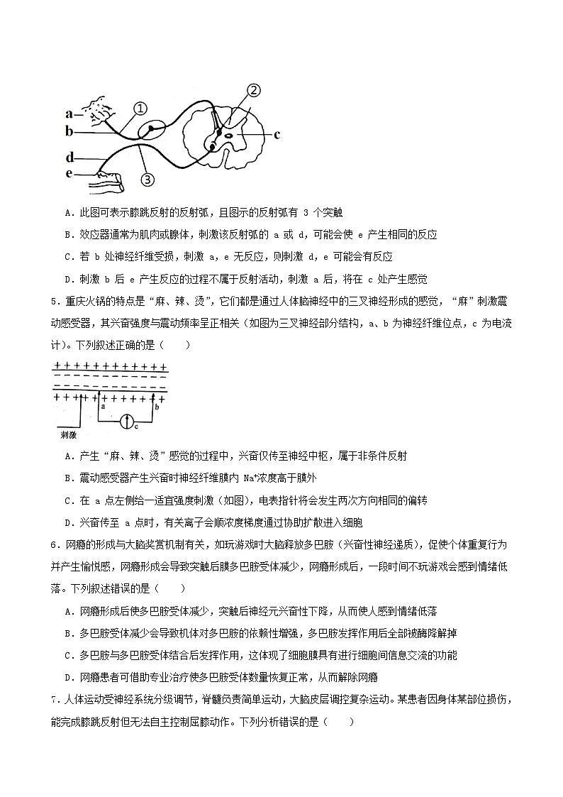 河北省邯郸市邯山区九校联考2025_2026学年高二生物上学期10月一调考试第2页