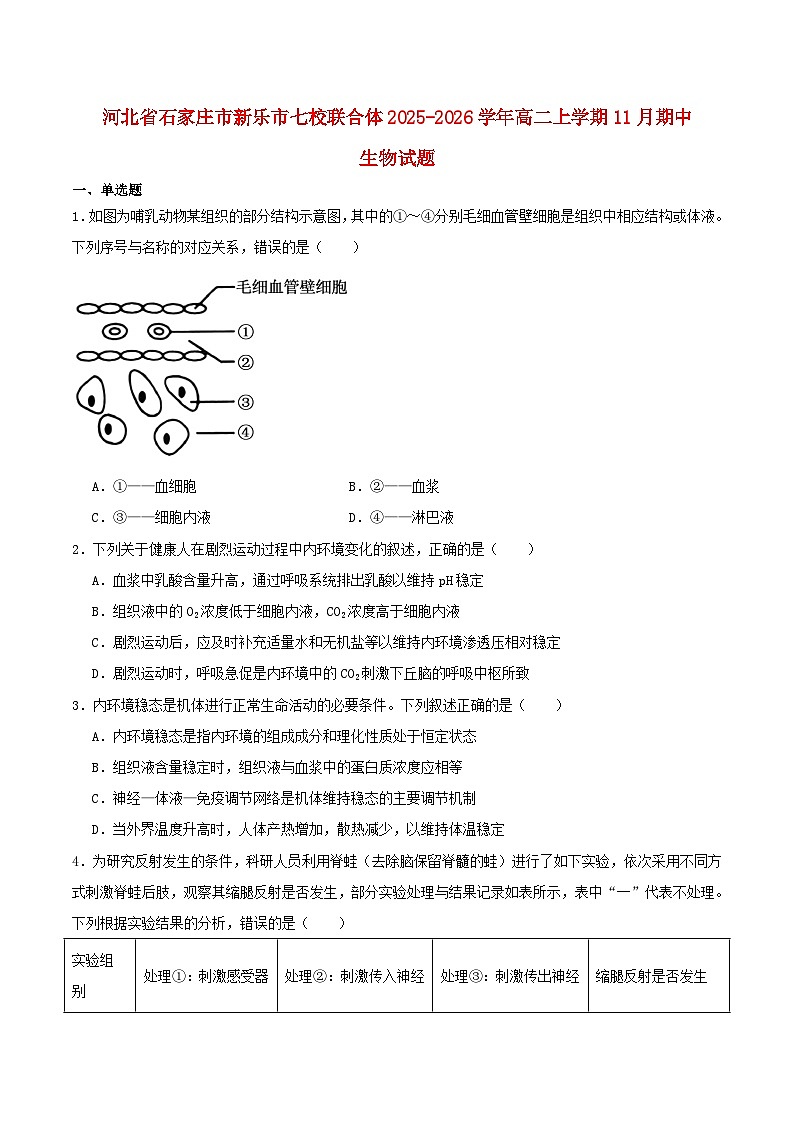 河北省石家庄市新乐市七校联合体2025_2026学年高二生物上学期期中测试第1页