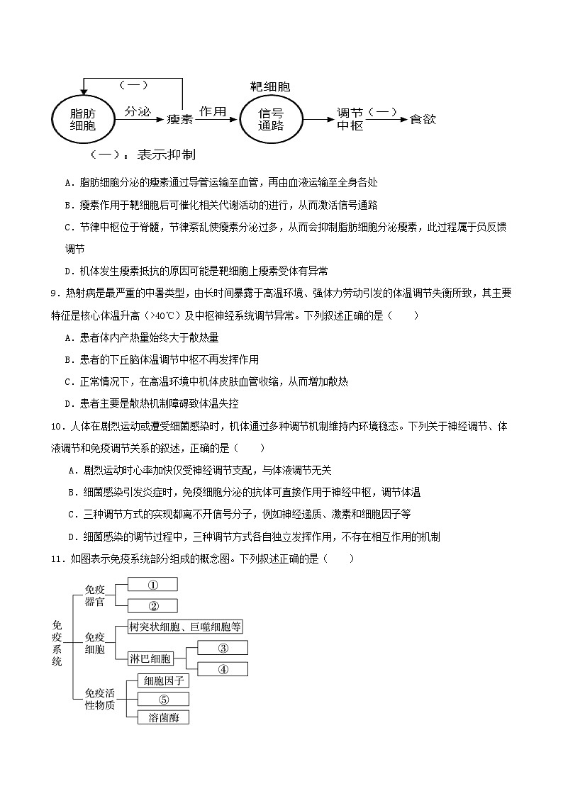 河北省石家庄市新乐市七校联合体2025_2026学年高二生物上学期期中测试第3页