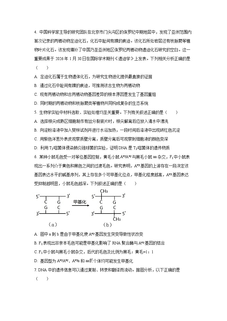 2026届山西省大同市高三年级下第一次模拟考试生物试卷(学生版)第2页
