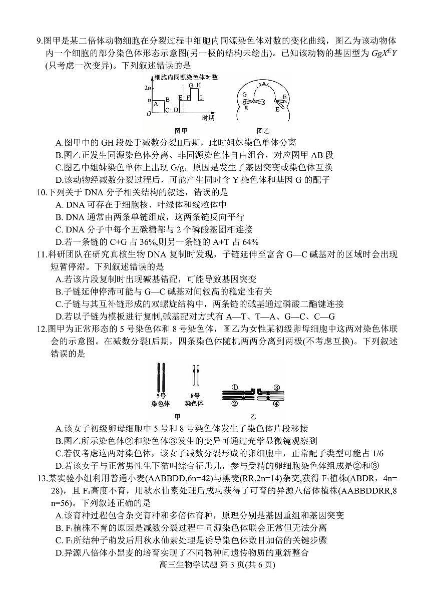 河南省新未来2025~2026学年高三上学期10月联合测评生物试卷(含答案)第3页