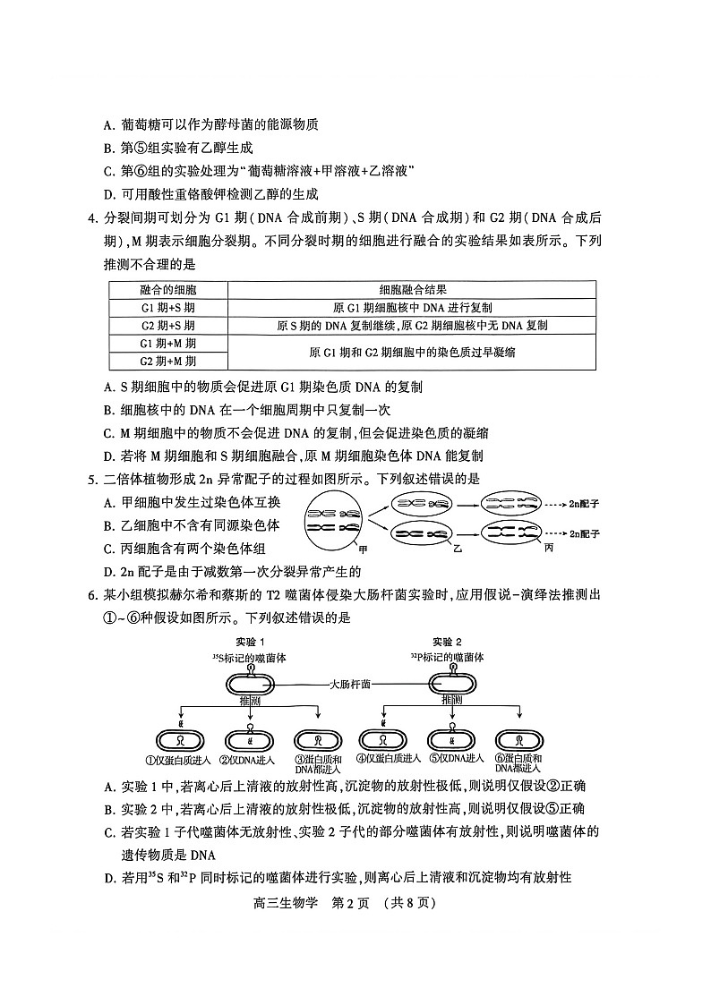 河南省许平洛济2026届高三下学期三模生物试题 含答案第2页