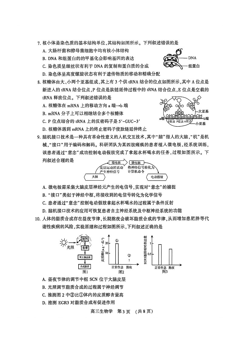 河南省许平洛济2026届高三下学期三模生物试题 含答案第3页