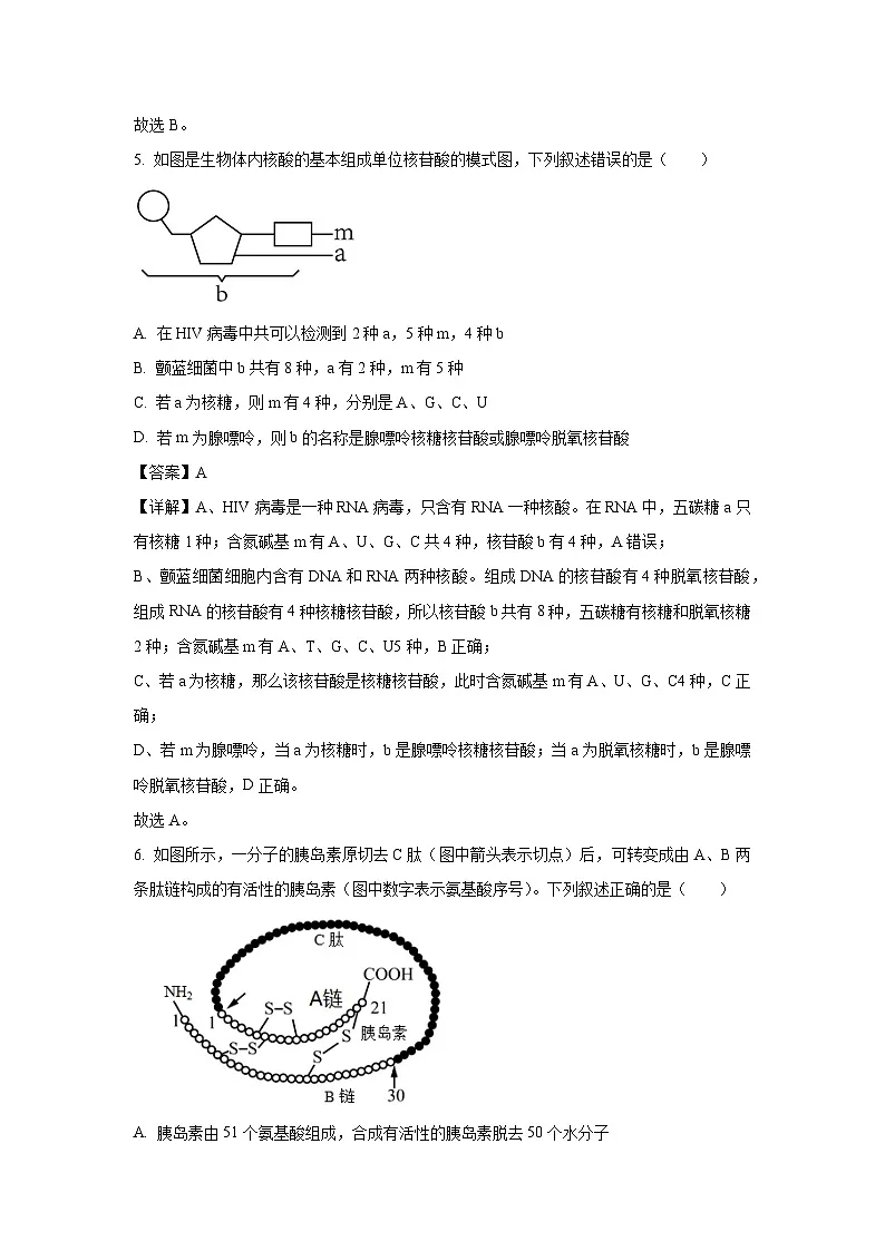 【生物】广西壮族自治区河池市2025-2026学年高一上学期12月联考试题(解析版)第3页