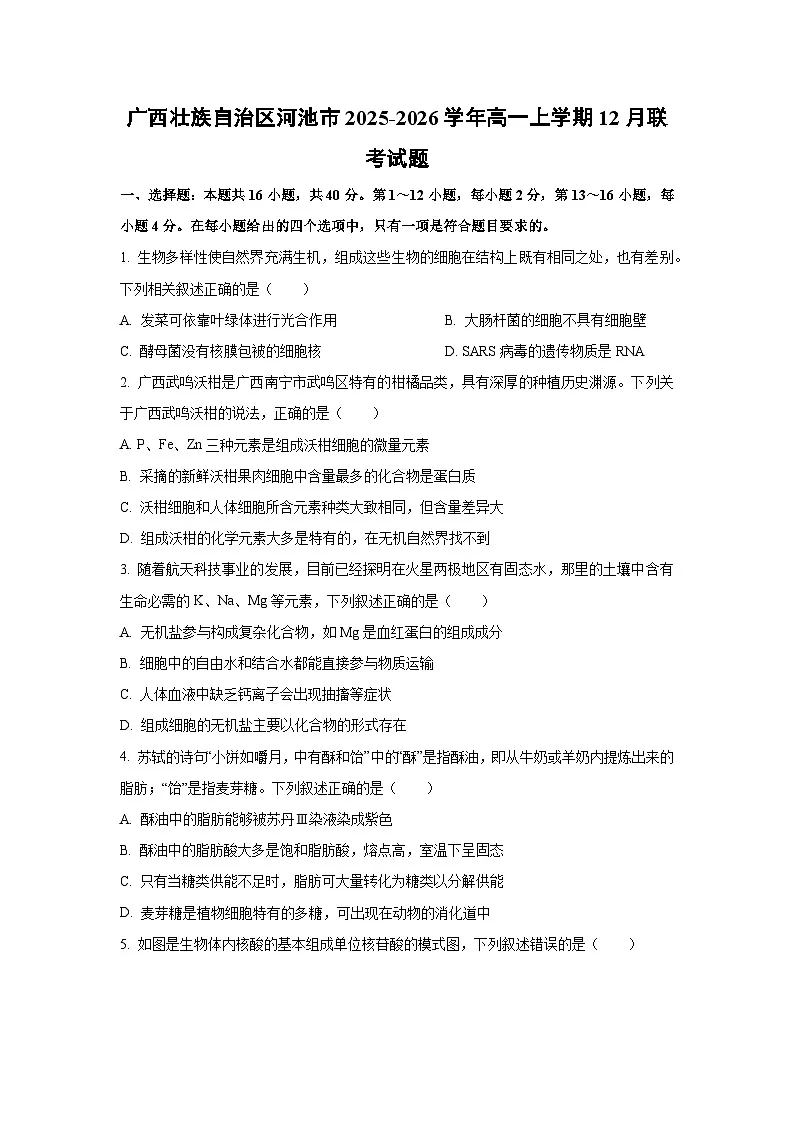 【生物】广西壮族自治区河池市2025-2026学年高一上学期12月联考试题(学生版)第1页