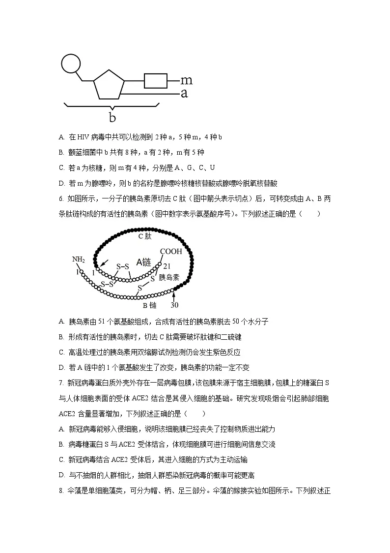 【生物】广西壮族自治区河池市2025-2026学年高一上学期12月联考试题(学生版)第2页