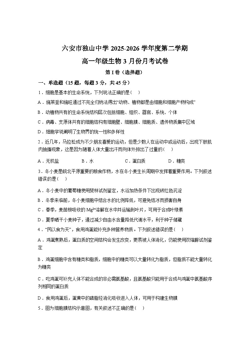 安徽省六安市独山中学2025-2026学年高一下学期开学考试生物试题含答案第1页