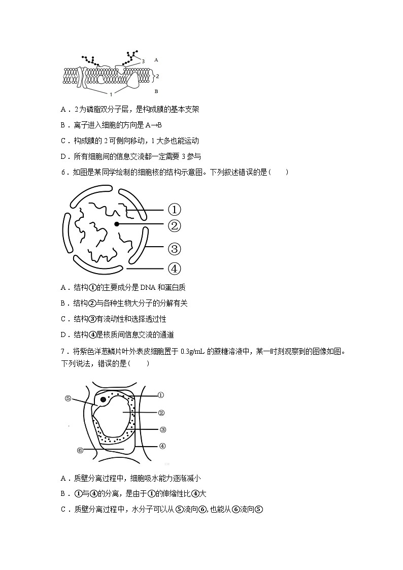 安徽省六安市独山中学2025-2026学年高一下学期开学考试生物试题含答案第2页