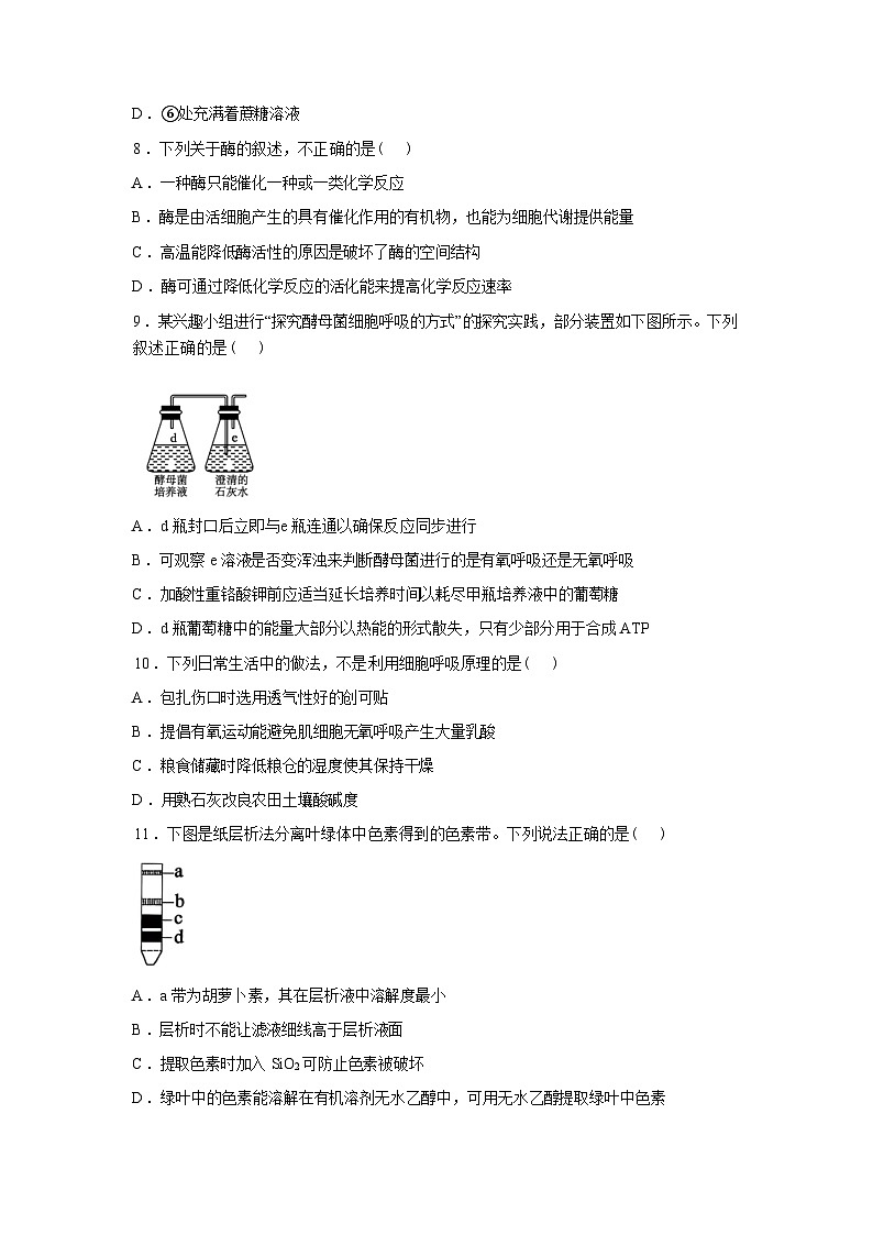 安徽省六安市独山中学2025-2026学年高一下学期开学考试生物试题含答案第3页