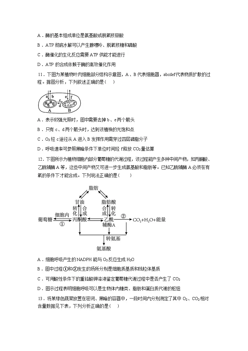 山西阳泉市第一中学校2025-2026学年高一年级下学期分班考试生物试题含答案第3页