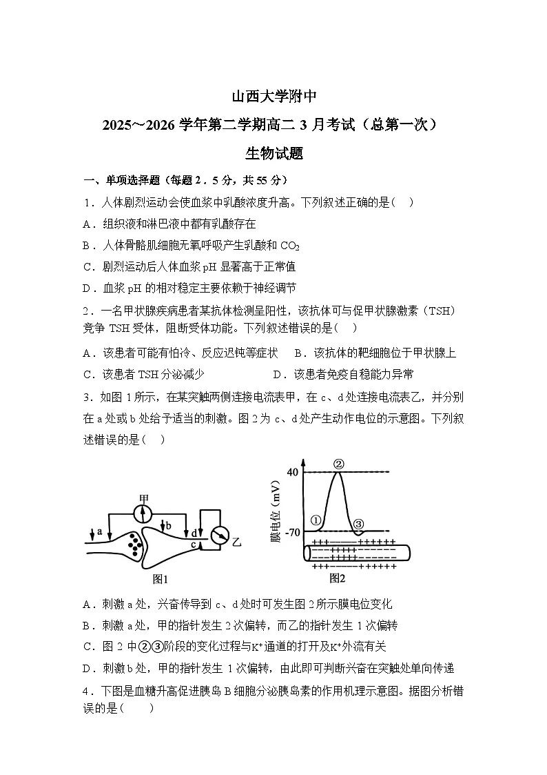 山西大学附属中学校2025-2026学年高二下学期3月阶段检测生物试题含答案第1页