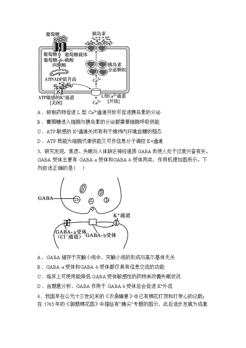 山西大学附属中学校2025-2026学年高二下学期3月阶段检测生物试题含答案第2页