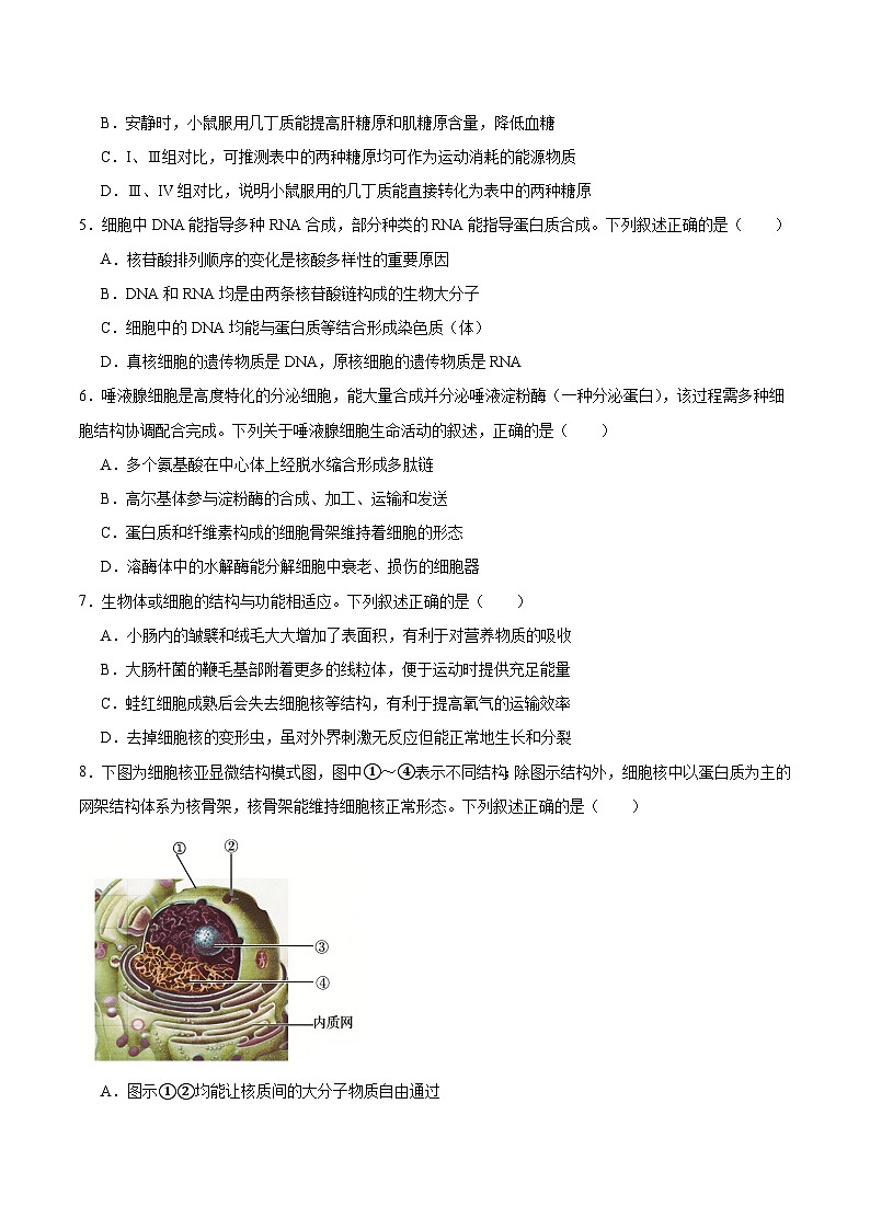 安徽省十所名校2025-2026学年高一下学期3月开学考试 生物(含解析)第2页