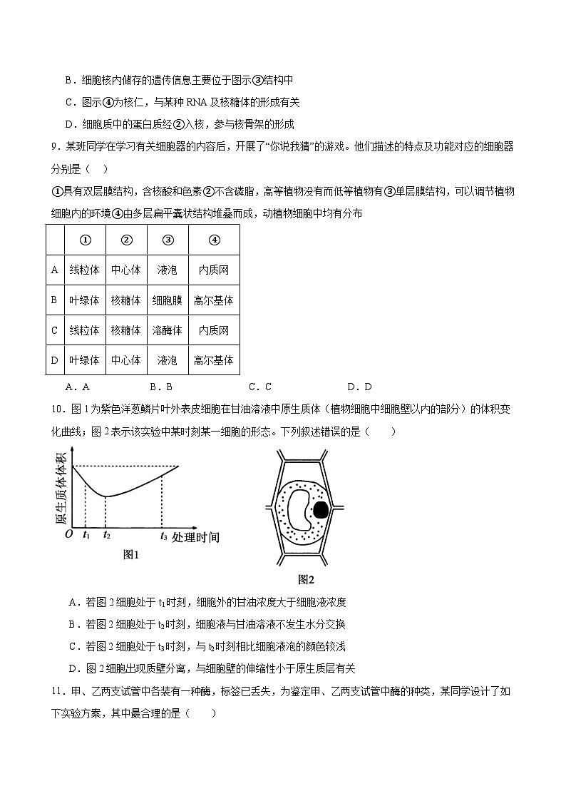 安徽省十所名校2025-2026学年高一下学期3月开学考试 生物(含解析)第3页