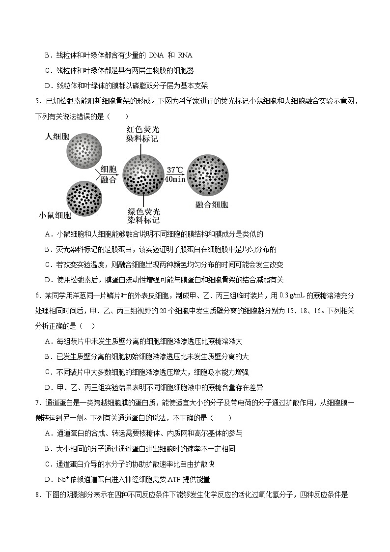 江西省南昌市重点高中2025-2026学年高一下学期3月开学考试 生物(含解析)第2页