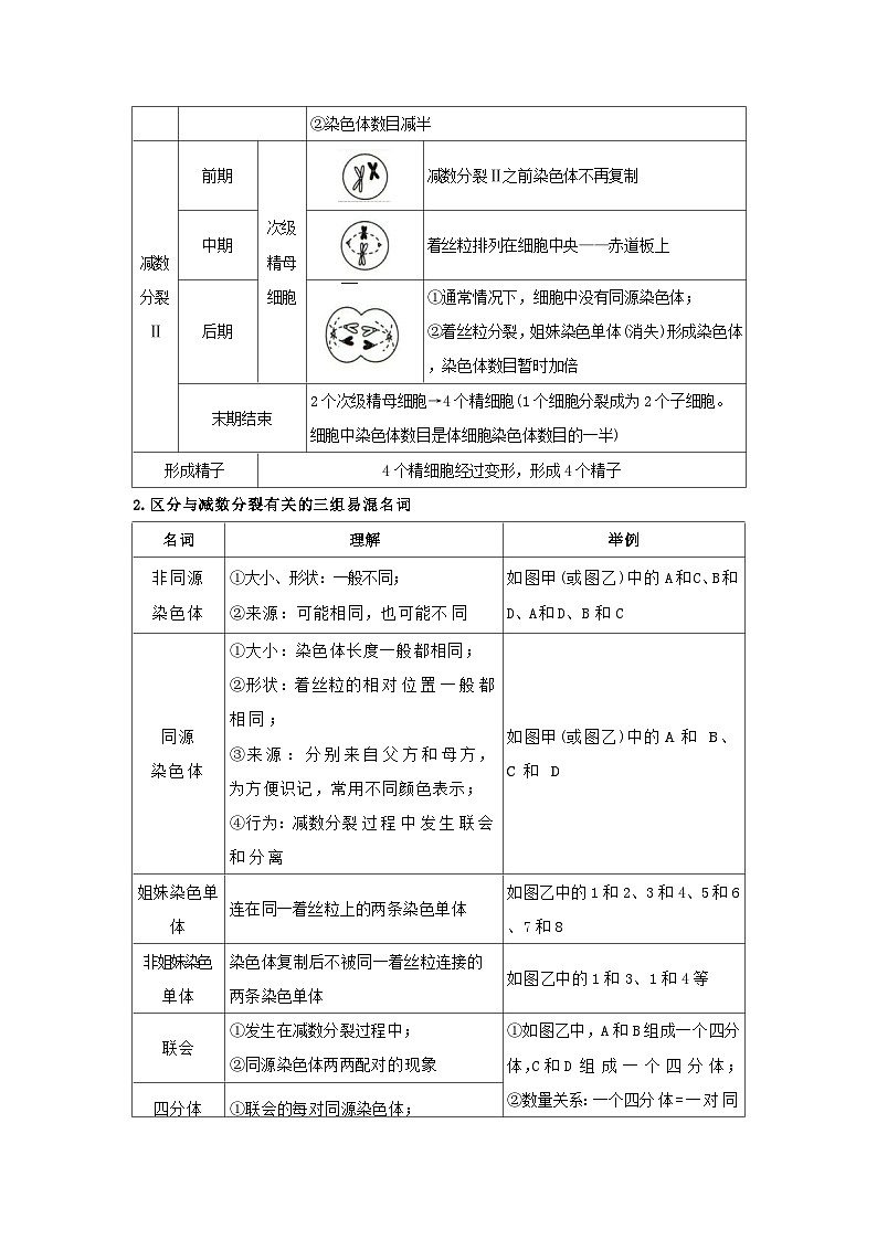 第二章第一节减数分裂和受精作用2025-2026学年高中生物必修二同步复习讲义(原卷版) 第2页
