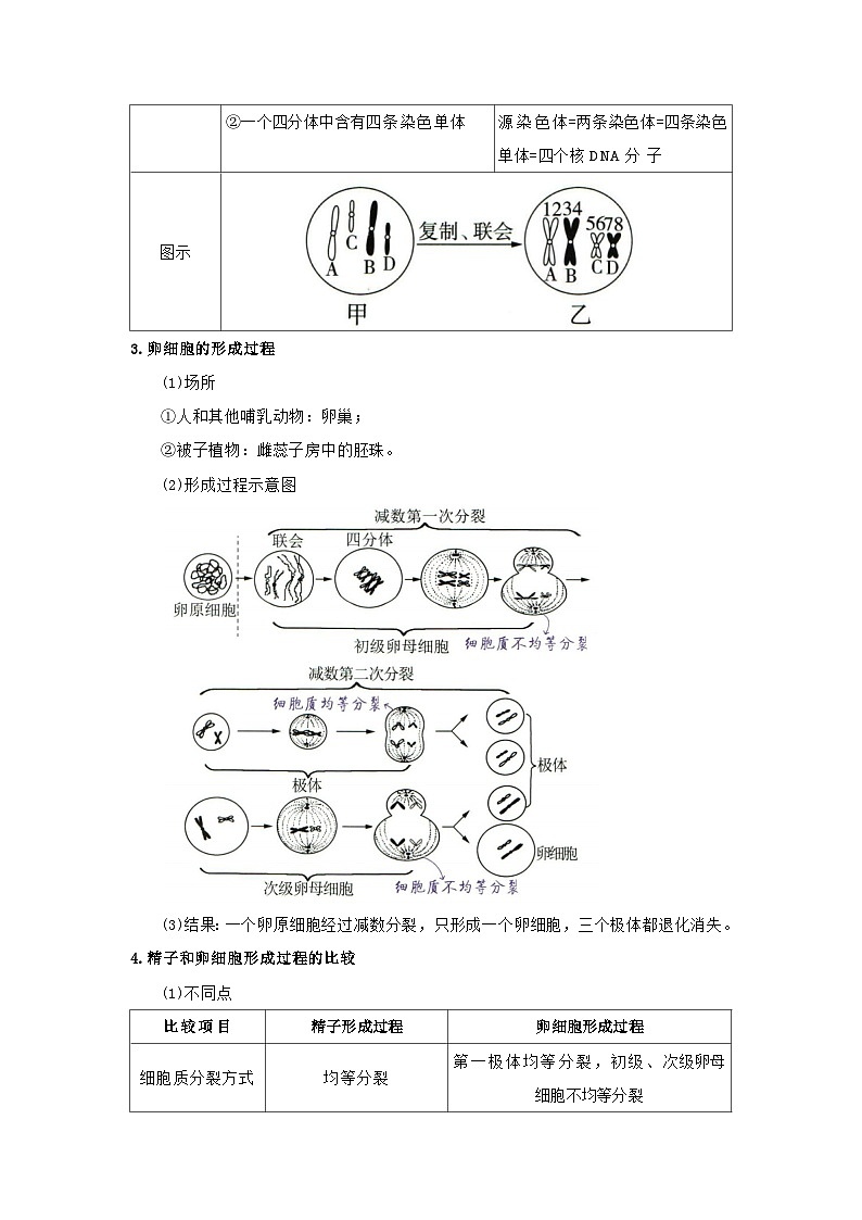 第二章第一节减数分裂和受精作用2025-2026学年高中生物必修二同步复习讲义(解析版)第3页