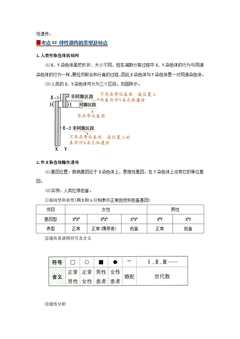 第二章第三节 伴性遗传2025-2026学年高中生物必修二同步复习讲义(解析版)第2页