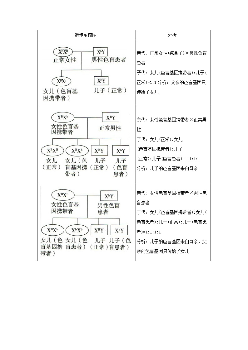 第二章第三节 伴性遗传2025-2026学年高中生物必修二同步复习讲义(原卷版)第3页