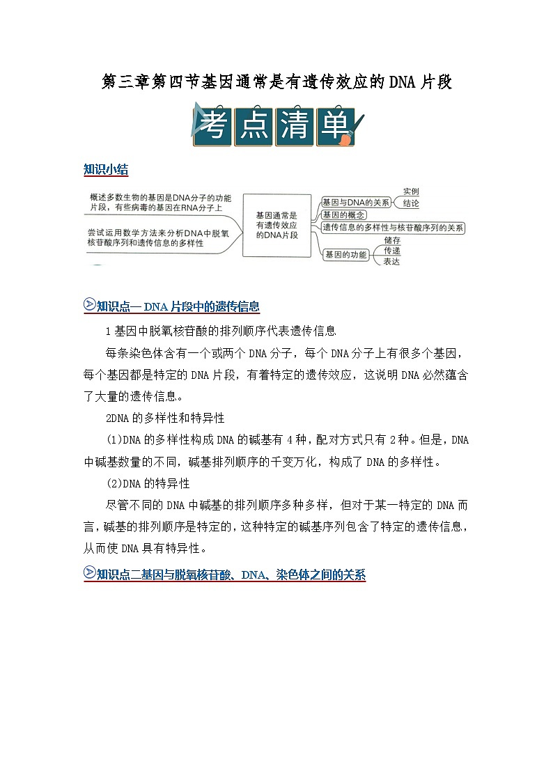 第三章第四节 因通常是有遗传效应的DNA片段 2025-2026学年高中生物必修二同步复习讲义(原卷版)第1页