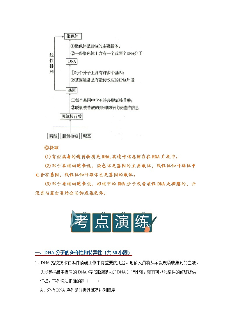 第三章第四节 因通常是有遗传效应的DNA片段 2025-2026学年高中生物必修二同步复习讲义(原卷版)第2页