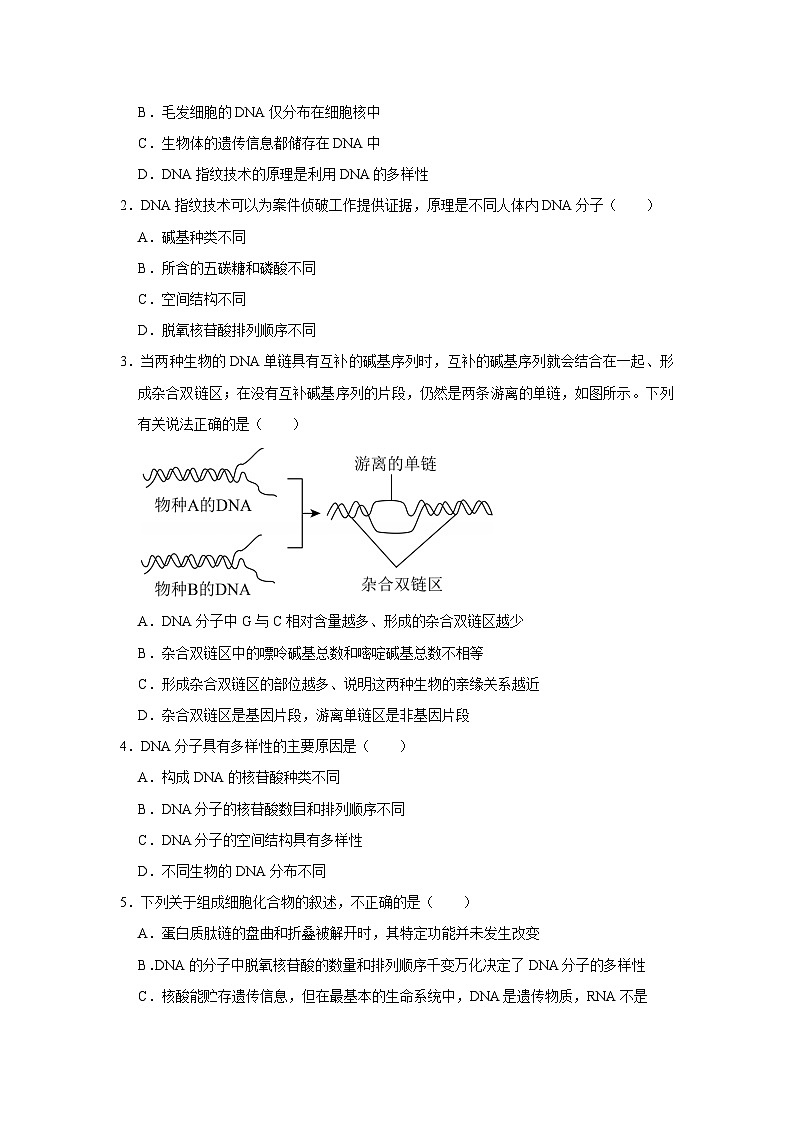 第三章第四节 因通常是有遗传效应的DNA片段 2025-2026学年高中生物必修二同步复习讲义(原卷版)第3页