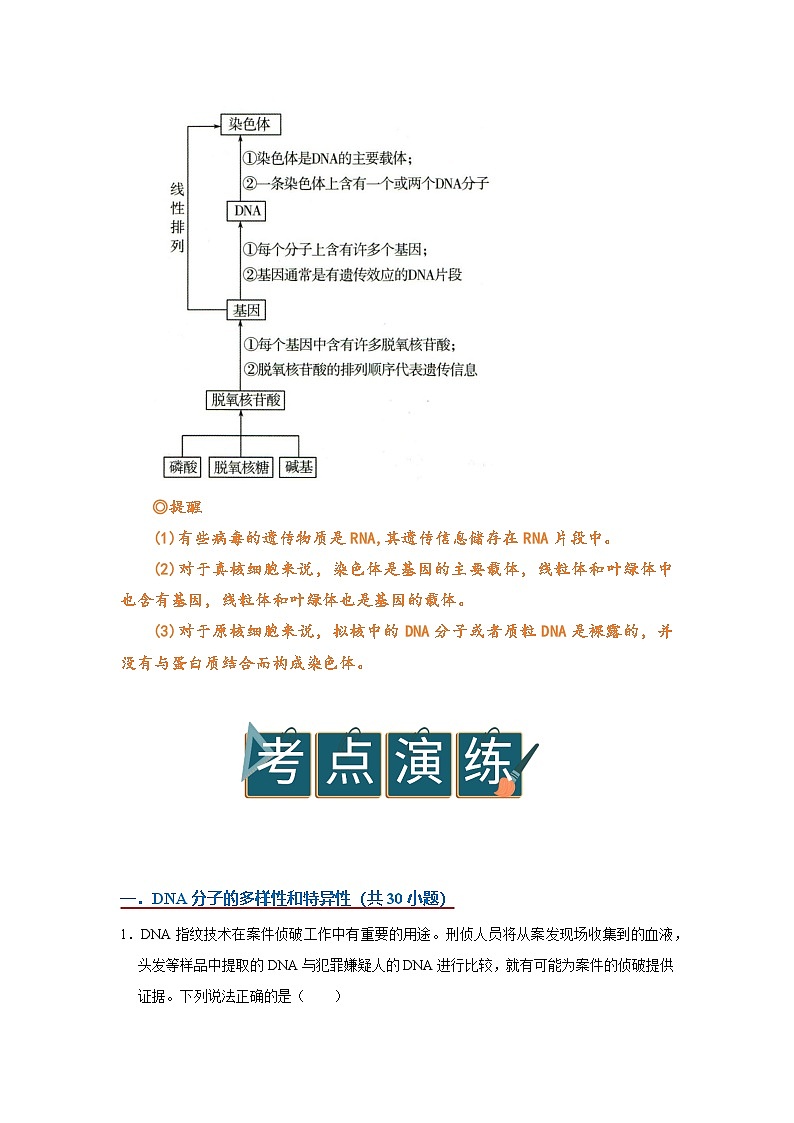第三章第四节 基因通常是有遗传效应的DNA片段 2025-2026学年高中生物必修二同步复习讲义(解析版)第2页