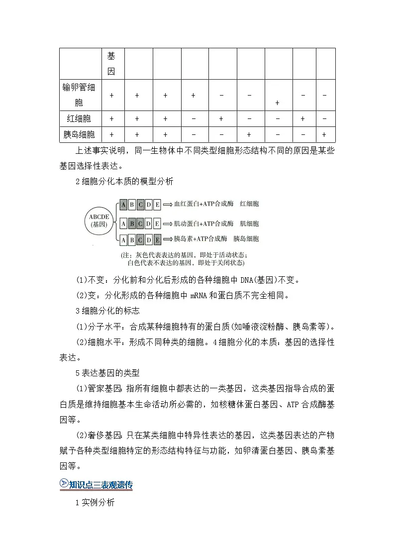 第四章第二节基因表达与性状的关系 2025-2026学年高中生物必修二同步复习讲义(解析版)第3页