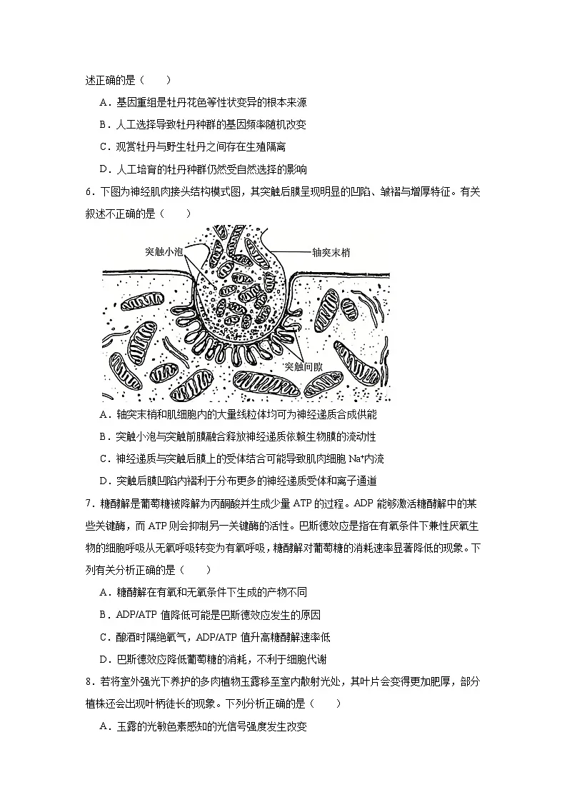 2026年内蒙古呼和浩特市高三年级第一次模拟考试生物学试卷(附答案解析)第2页