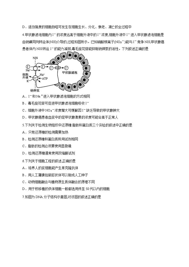 四川省广安市前锋区2025-2026学年高三上学期8月月考生物试题(含答案解析)第2页