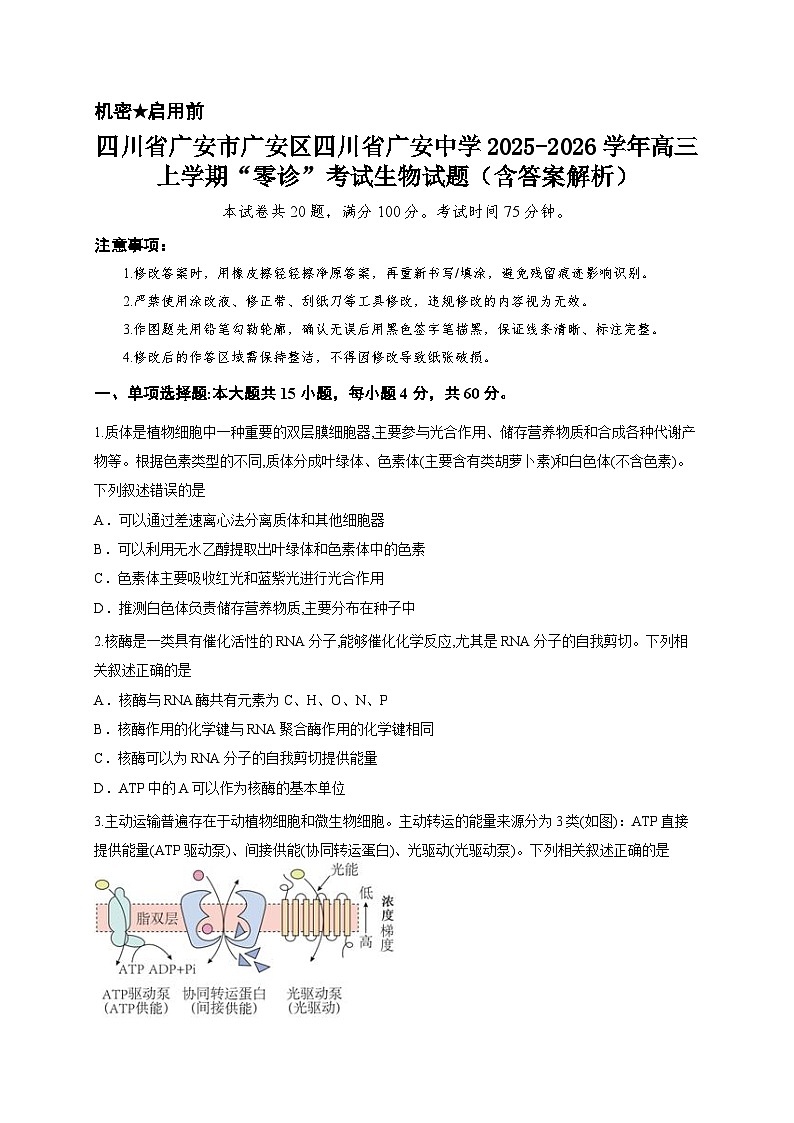 四川省广安市广安区四川省广安中学2025-2026学年高三上学期“零诊”考试生物试题(含答案解析)第1页