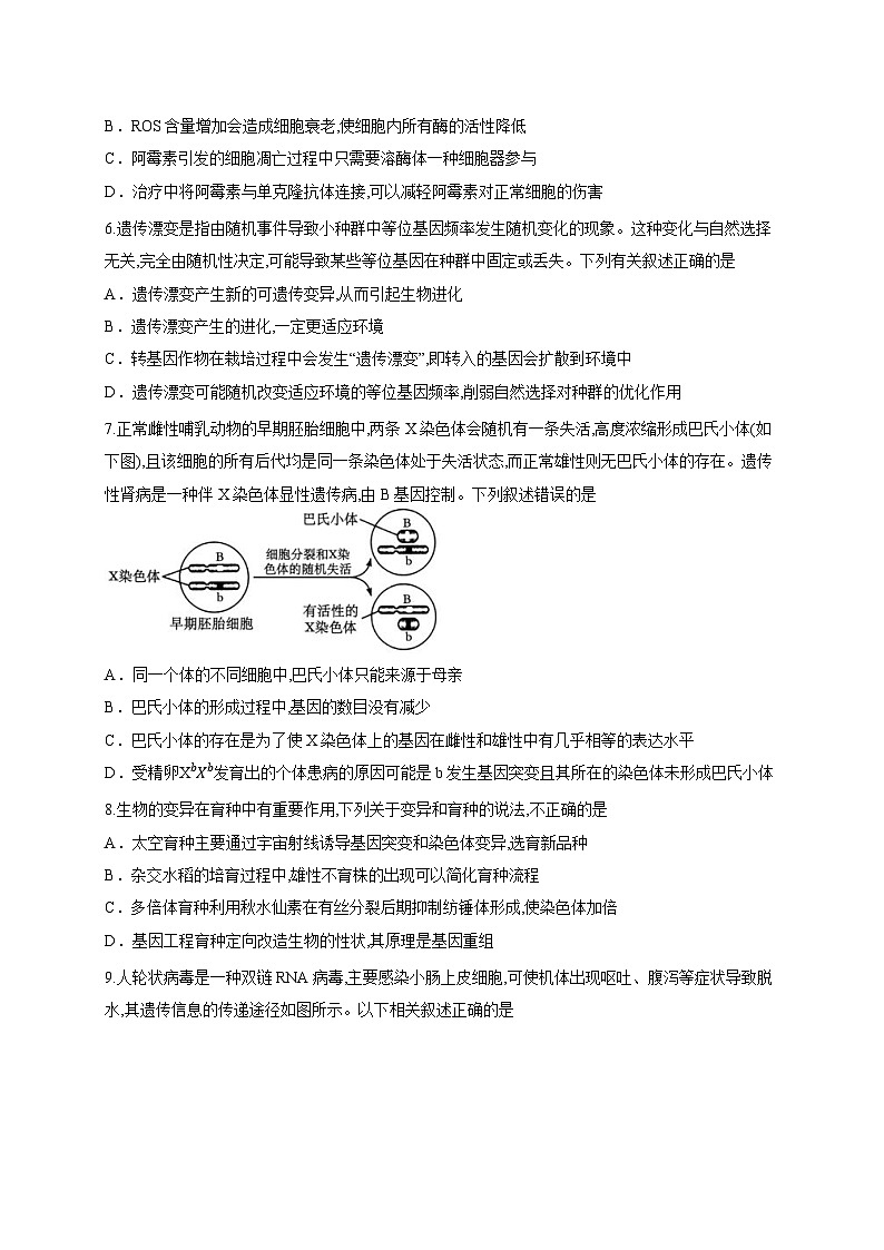 四川省广安市广安区四川省广安中学2025-2026学年高三上学期“零诊”考试生物试题(含答案解析)第3页